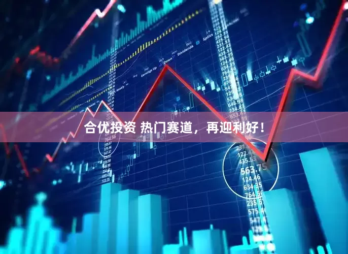 合优投资 热门赛道，再迎利好！
