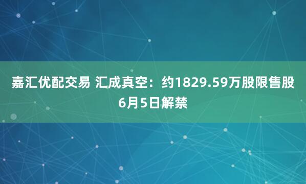 嘉汇优配交易 汇成真空：约1829.59万股限售股6月5日解禁