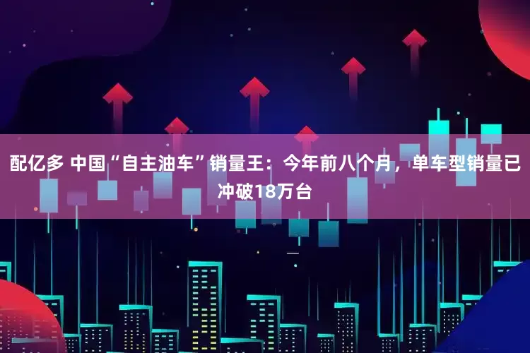 配亿多 中国“自主油车”销量王：今年前八个月，单车型销量已冲破18万台