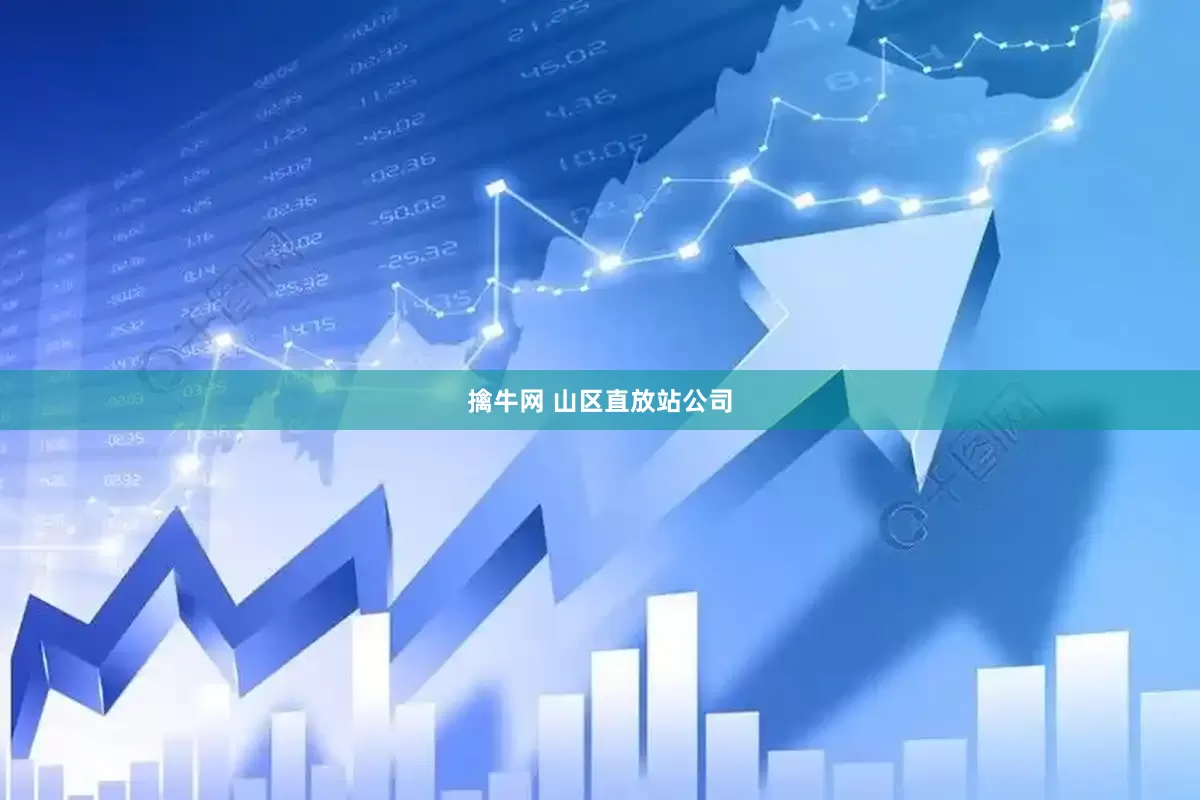 擒牛网 山区直放站公司
